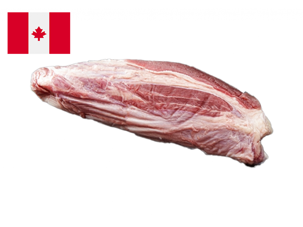 Bắp hoa bò Canada - Excel conical (NK)