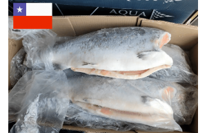 Cá Hồi CoHo Salmon nguyên con (ĐL)