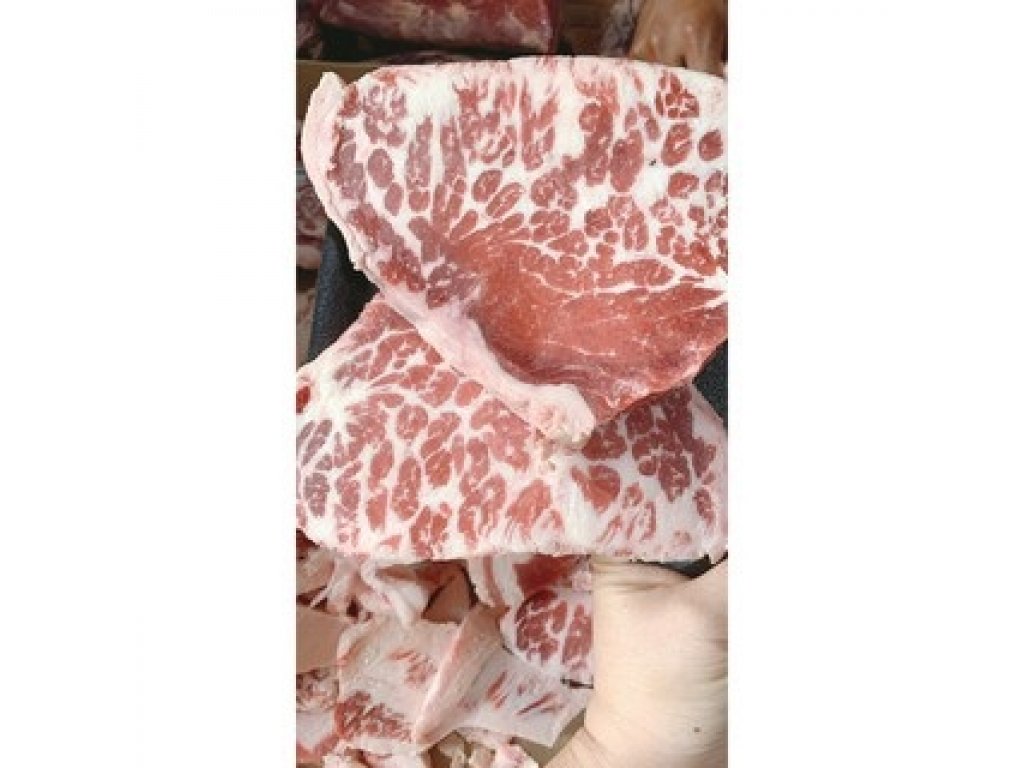 Gù Bò Úc - AMH (NK)