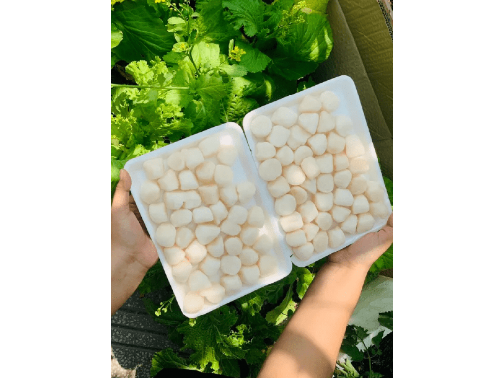 Cồi sò điệp baby 45-65 cồi/kg